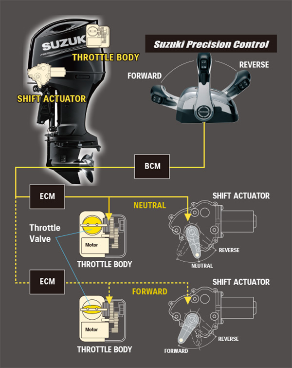 DF175AP/DF150AP | MARINE | Global Suzuki